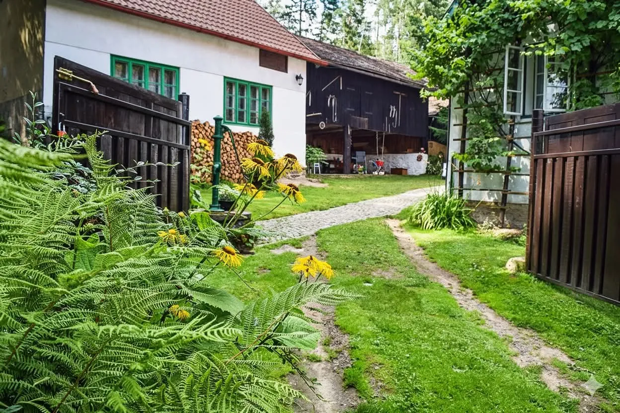 Zahrada mezi chalupou a stodolou s kapradím, žlutými květy a travnatou cestou